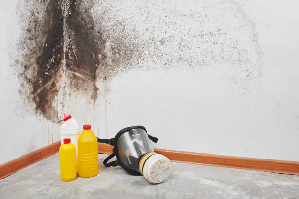 Best Crawl Space Mold Remediation in Hanscom Af, MA