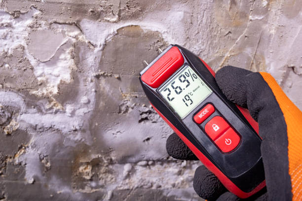 Reliable Hanscom Af, MA Mold Remediation Solutions